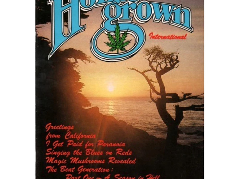 Homegrown International #8, 1980