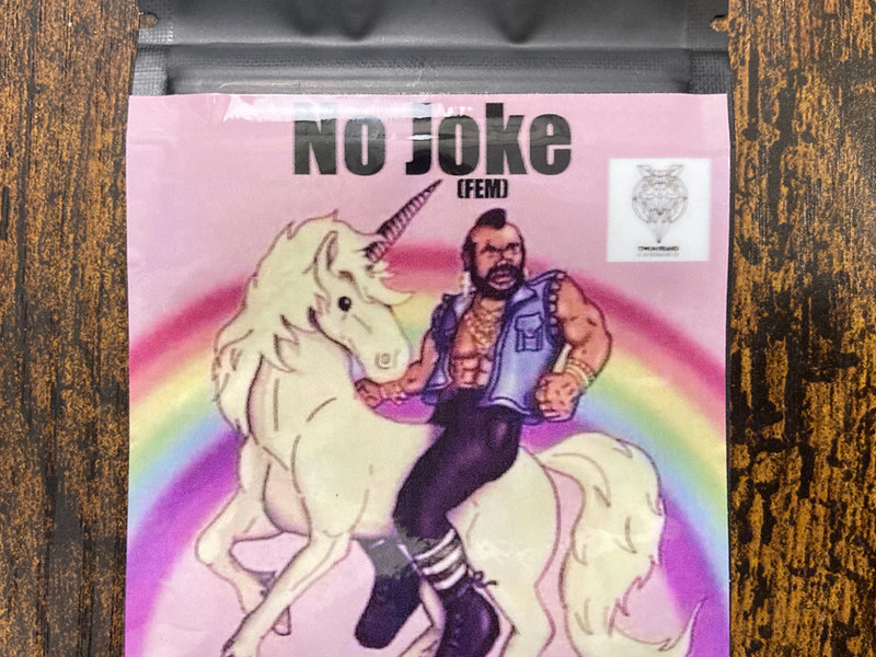 No Joke feminized seeds