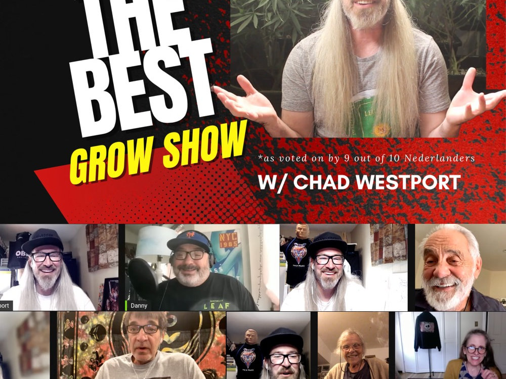 Chad Westport YouTube channel